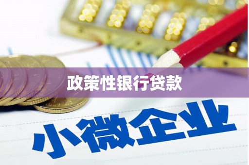 临沂政策性银行贷款