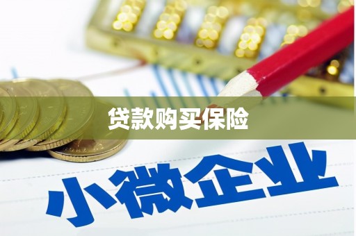 临沂贷款购买保险