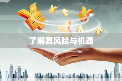 临沂了解其风险与机遇
