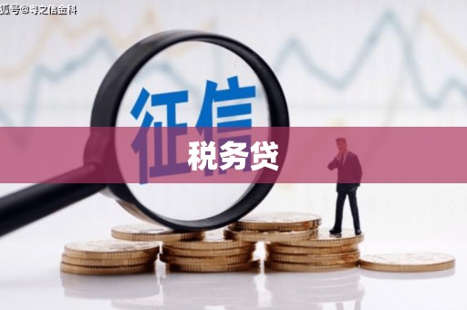 临沂税务贷