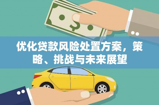 临沂优化贷款风险处置方案，策略、挑战与未来展望