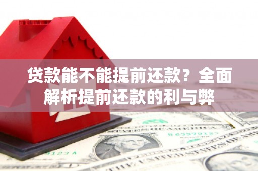 临沂贷款能不能提前还款？全面解析提前还款的利与弊