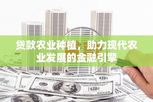 临沂贷款农业种植，助力现代农业发展的金融引擎