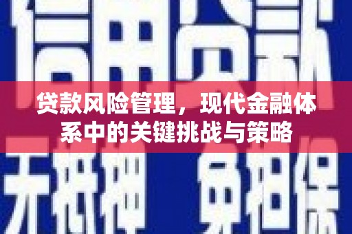临沂贷款风险管理，现代金融体系中的关键挑战与策略