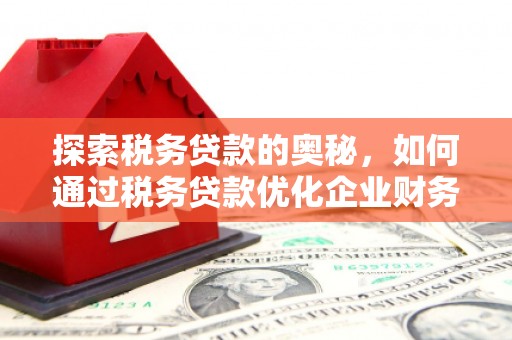 临沂探索税务贷款的奥秘，如何通过税务贷款优化企业财务