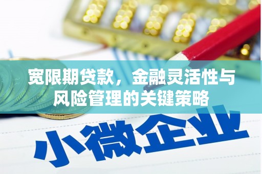 临沂宽限期贷款，金融灵活性与风险管理的关键策略