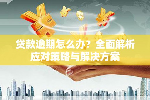临沂贷款逾期怎么办？全面解析应对策略与解决方案
