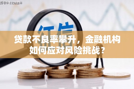 临沂贷款不良率攀升，金融机构如何应对风险挑战？