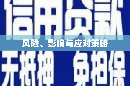 临沂风险、影响与应对策略