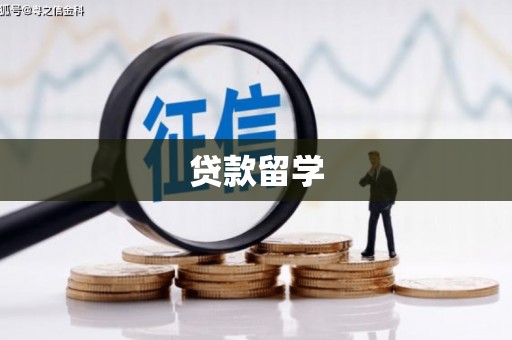 临沂贷款留学