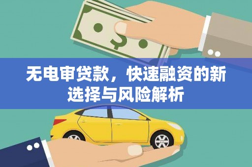 临沂无电审贷款，快速融资的新选择与风险解析