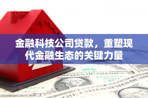 临沂金融科技公司贷款，重塑现代金融生态的关键力量
