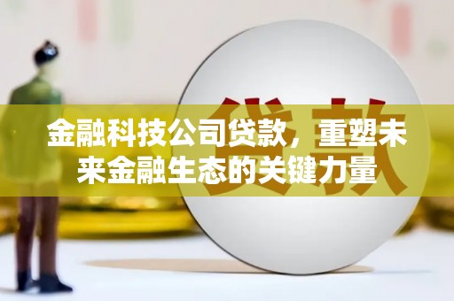 临沂金融科技公司贷款，重塑未来金融生态的关键力量