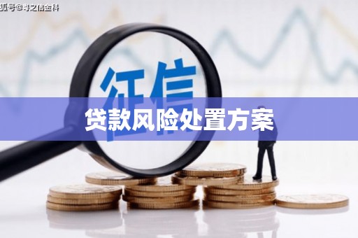 临沂贷款风险处置方案