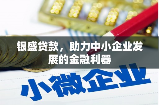 临沂银盛贷款，助力中小企业发展的金融利器