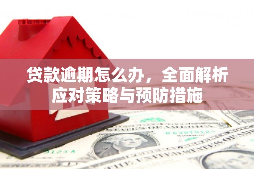 临沂贷款逾期怎么办，全面解析应对策略与预防措施