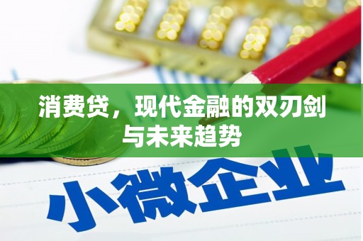 临沂消费贷，现代金融的双刃剑与未来趋势