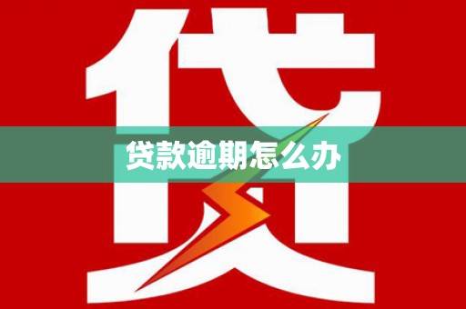 临沂贷款逾期怎么办