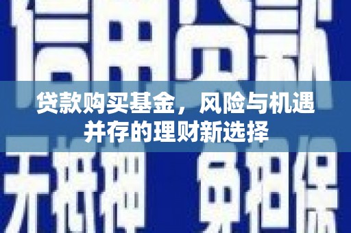 临沂贷款购买基金，风险与机遇并存的理财新选择