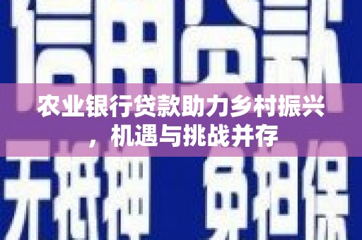 临沂农业银行贷款助力乡村振兴，机遇与挑战并存