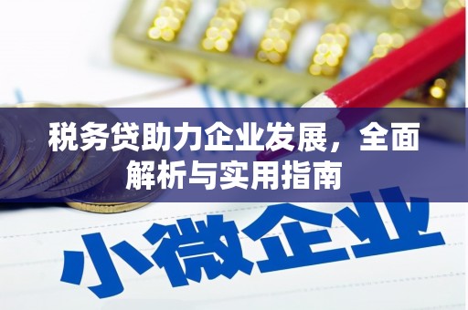 临沂税务贷助力企业发展，全面解析与实用指南