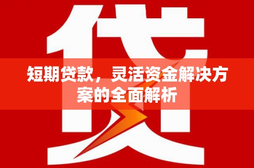 临沂短期贷款，灵活资金解决方案的全面解析