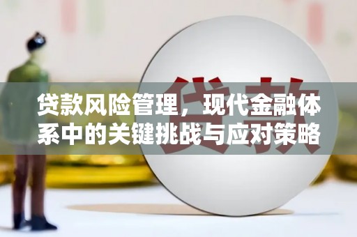 临沂贷款风险管理，现代金融体系中的关键挑战与应对策略