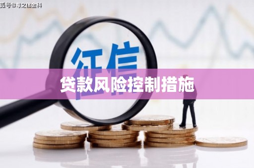 临沂贷款风险控制措施