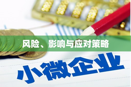 临沂风险、影响与应对策略