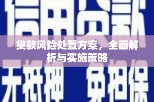 临沂贷款风险处置方案，全面解析与实施策略