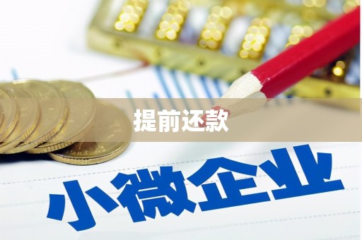 临沂提前还款
