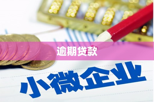 临沂逾期贷款